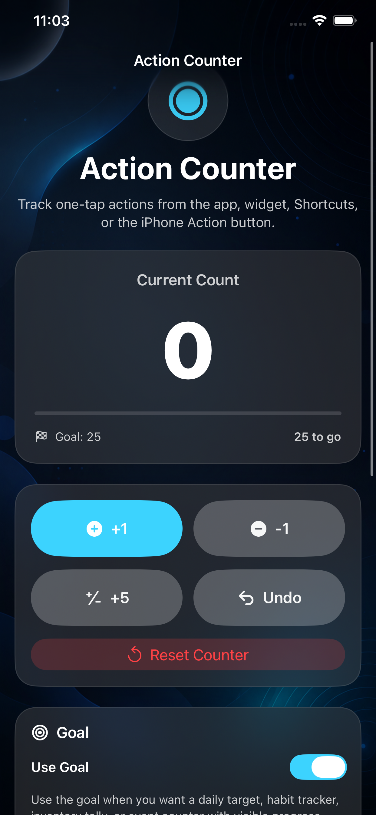 Action Counter main screen